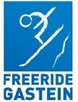 Freeriede Gastein